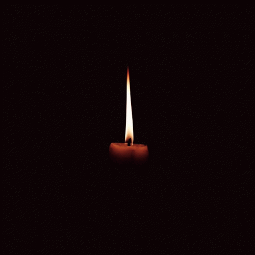 End of the Year (2020）